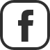Puls Rendwal digital capital management